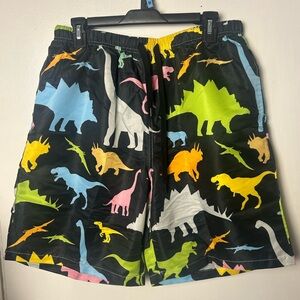 Dinosaur Print Men's Swim Board Shorts